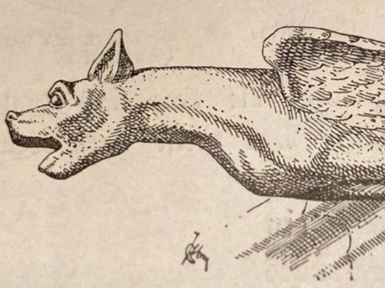 Zeichnung eines Wasserspeiers in der Form eines Drachenkopfes